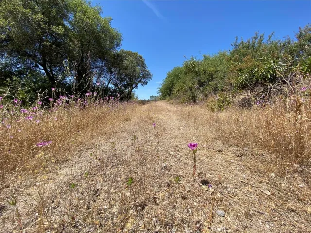 $165,000 | 0 Flying O Ranch Road, Coarsegold, CA 93614