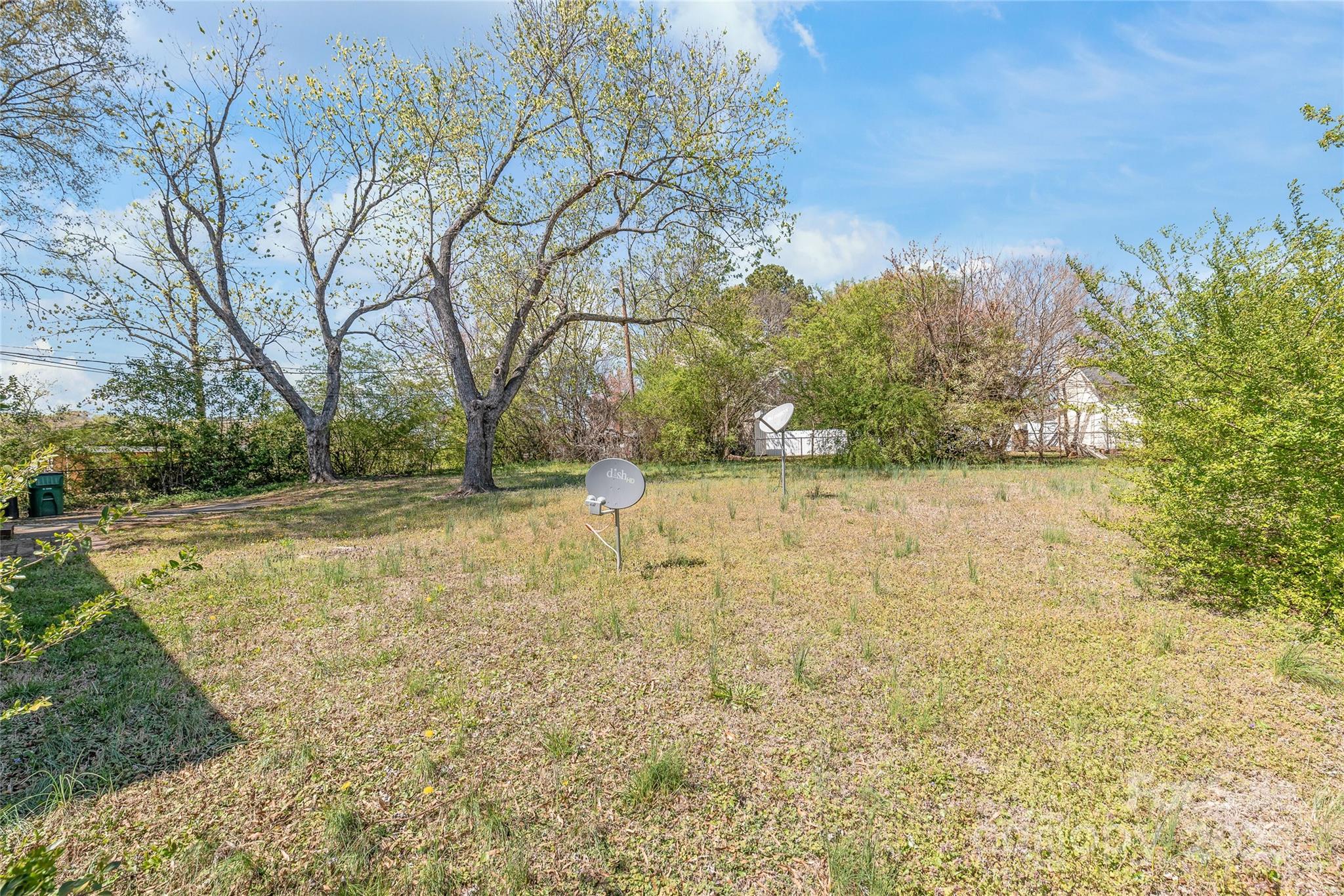 7207 Idlewild Road Charlotte, NC 28212 - Photo 15 of 15 a view of yard with large tree