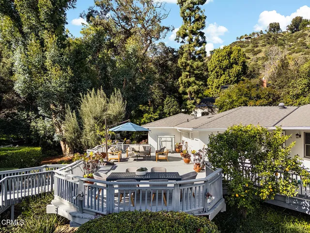 a view of a garden with a tree
