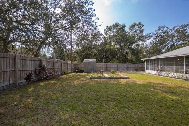 a view of a backyard with plants and large tree