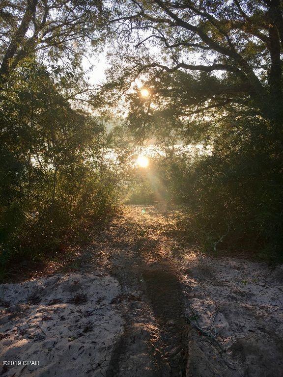 320 Bream Pond Road, Unit LOT 33 Southport, FL 32409 - Photo 26 of 35 Gallery Image 26