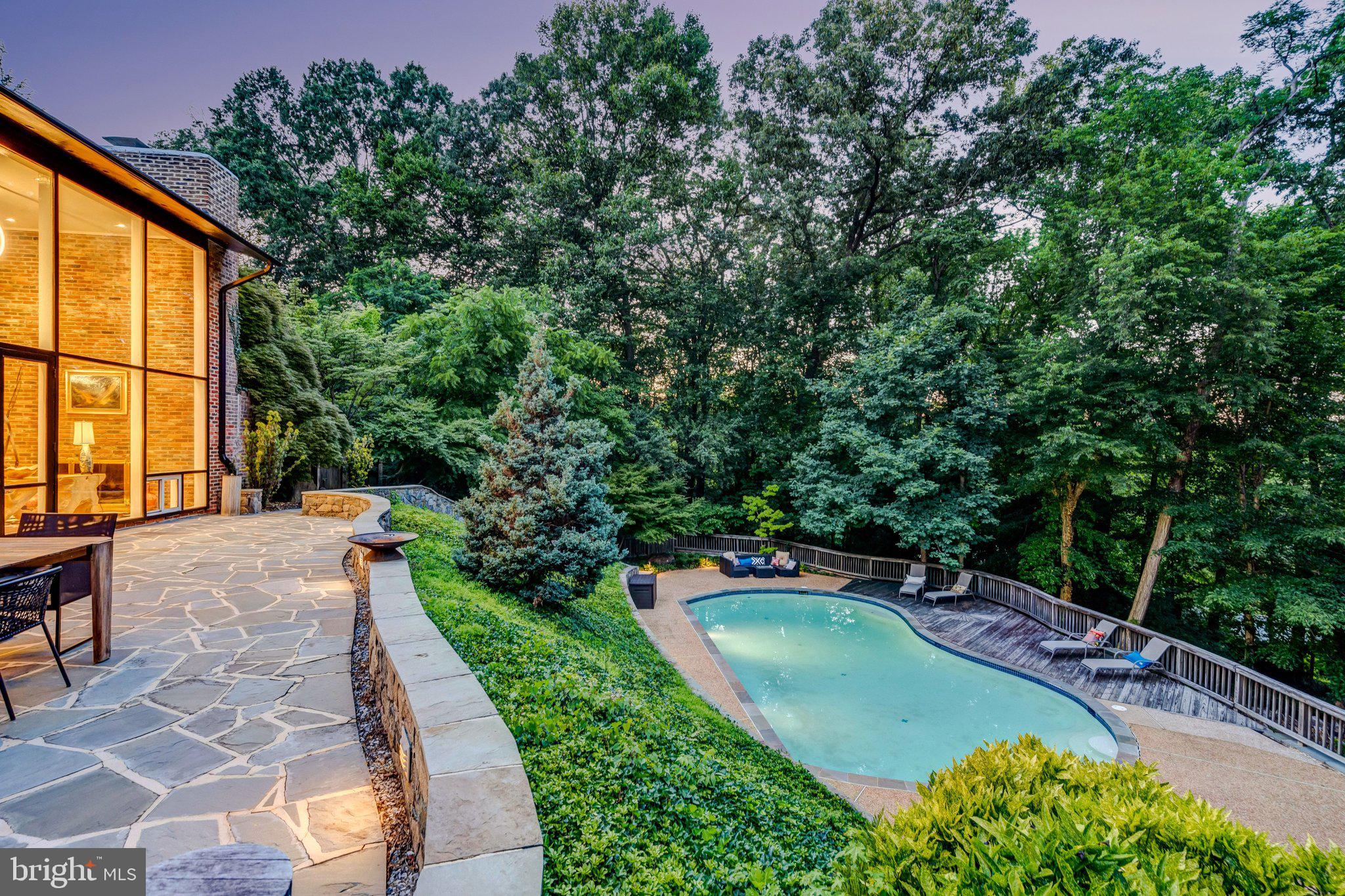1927 Marthas Road Alexandria, VA 22307 - Photo 84 of 105 Poolside loungers at twilight
