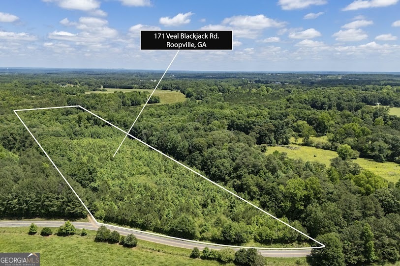 171 Veal Blackjack Road Roopville, GA 30170 - Photo 1 of 1 Gallery Image 1