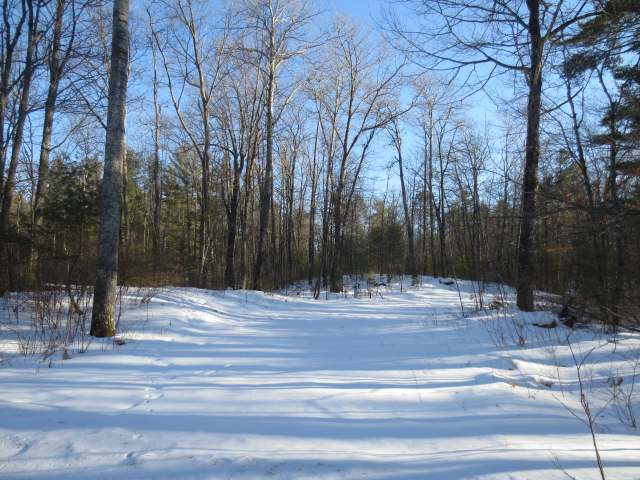 4329 West Lake George Road Rhinelander, WI 54501 - Photo 1 of 7 Gallery Image 1