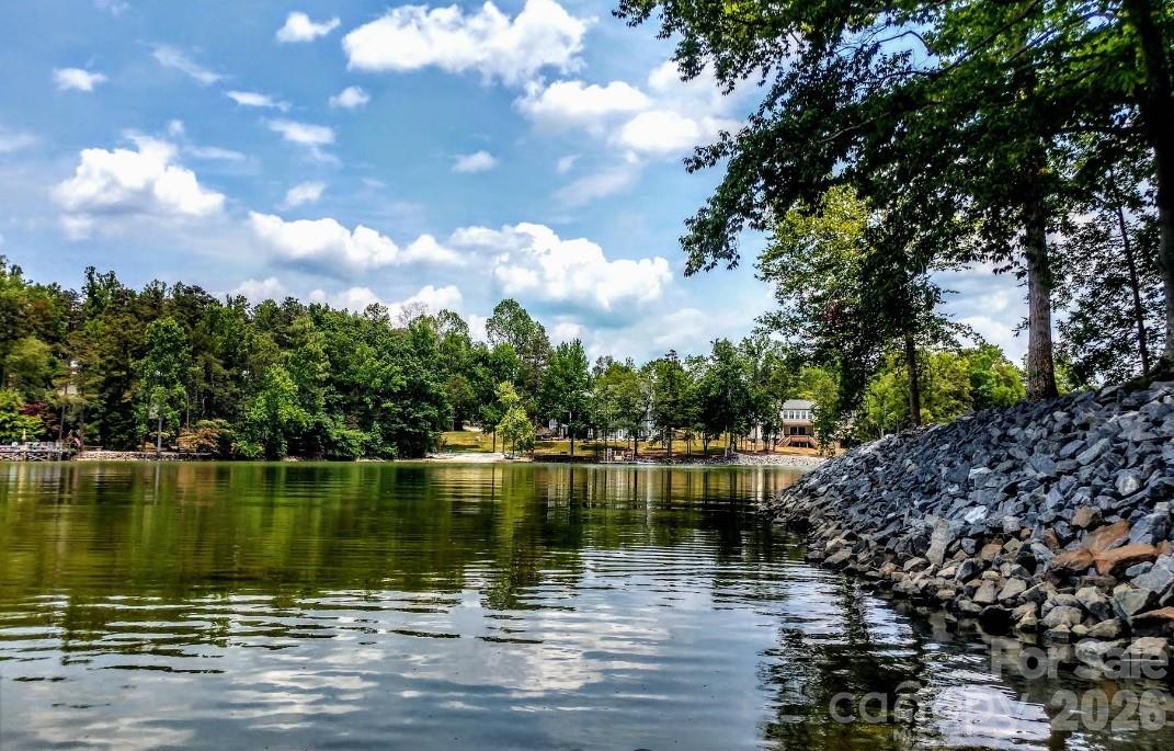 15523 Lake Ridge Road Charlotte, NC 28278 - Photo 40 of 40