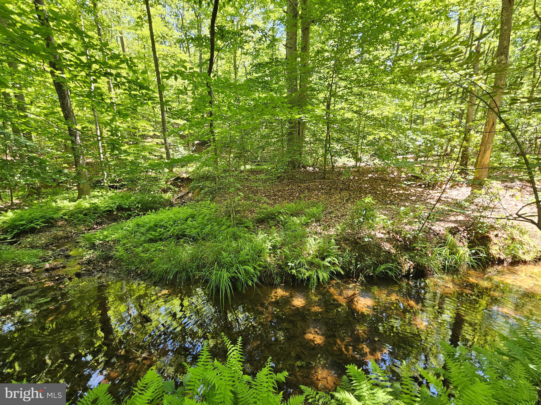15-ac Manteo Road Buckingham, VA 23921 - Photo 4 of 18