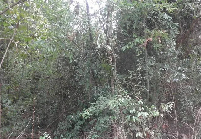 $15,000 | 0 Waters Street, Monticello, GA 31064