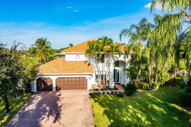 a picture of flowers