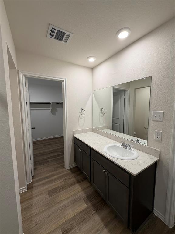 848 Good Cheer Lane Lavon, TX 75166 - Photo 15 of 20 Master bathroom counter