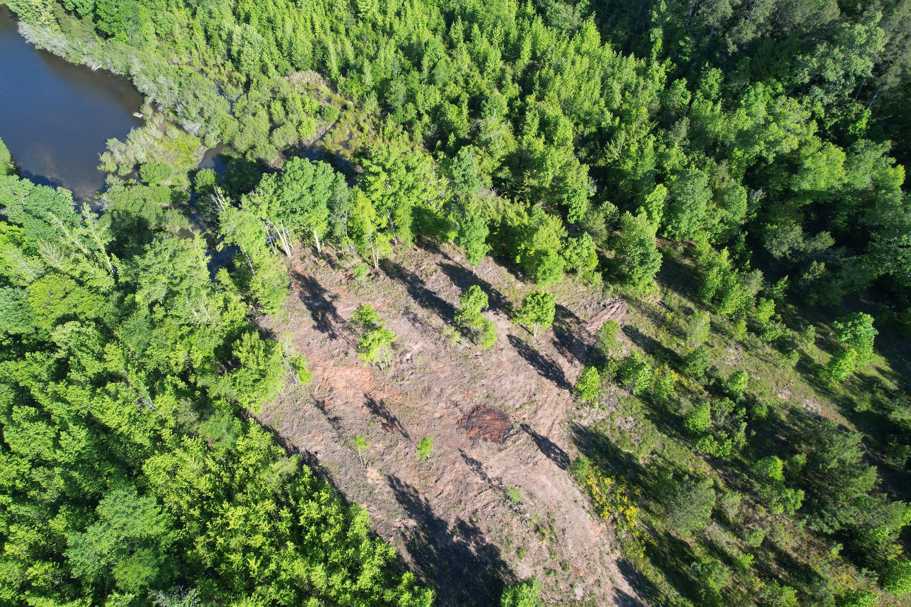 183 Hunters Run Edgefield, SC 29824 - Photo 11 of 13 DJI_0323