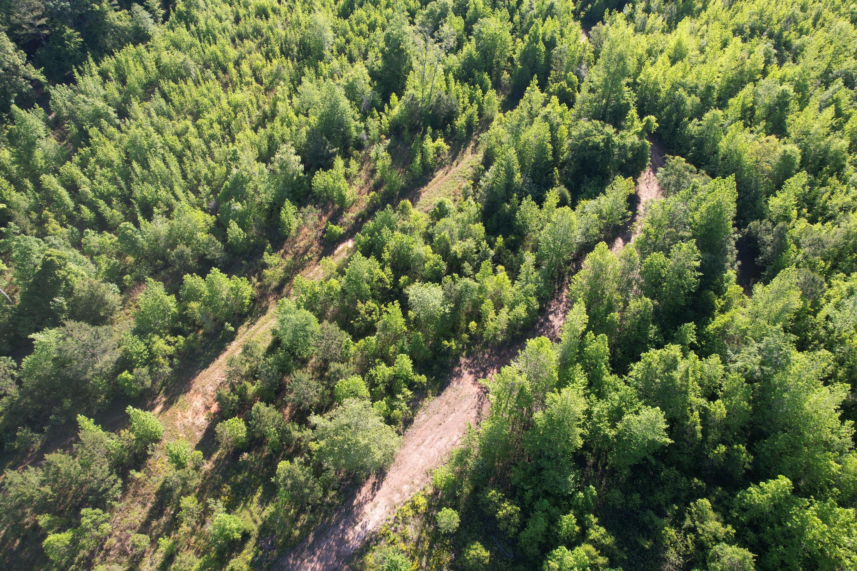 183 Hunters Run Edgefield, SC 29824 - Photo 12 of 13 DJI_0324