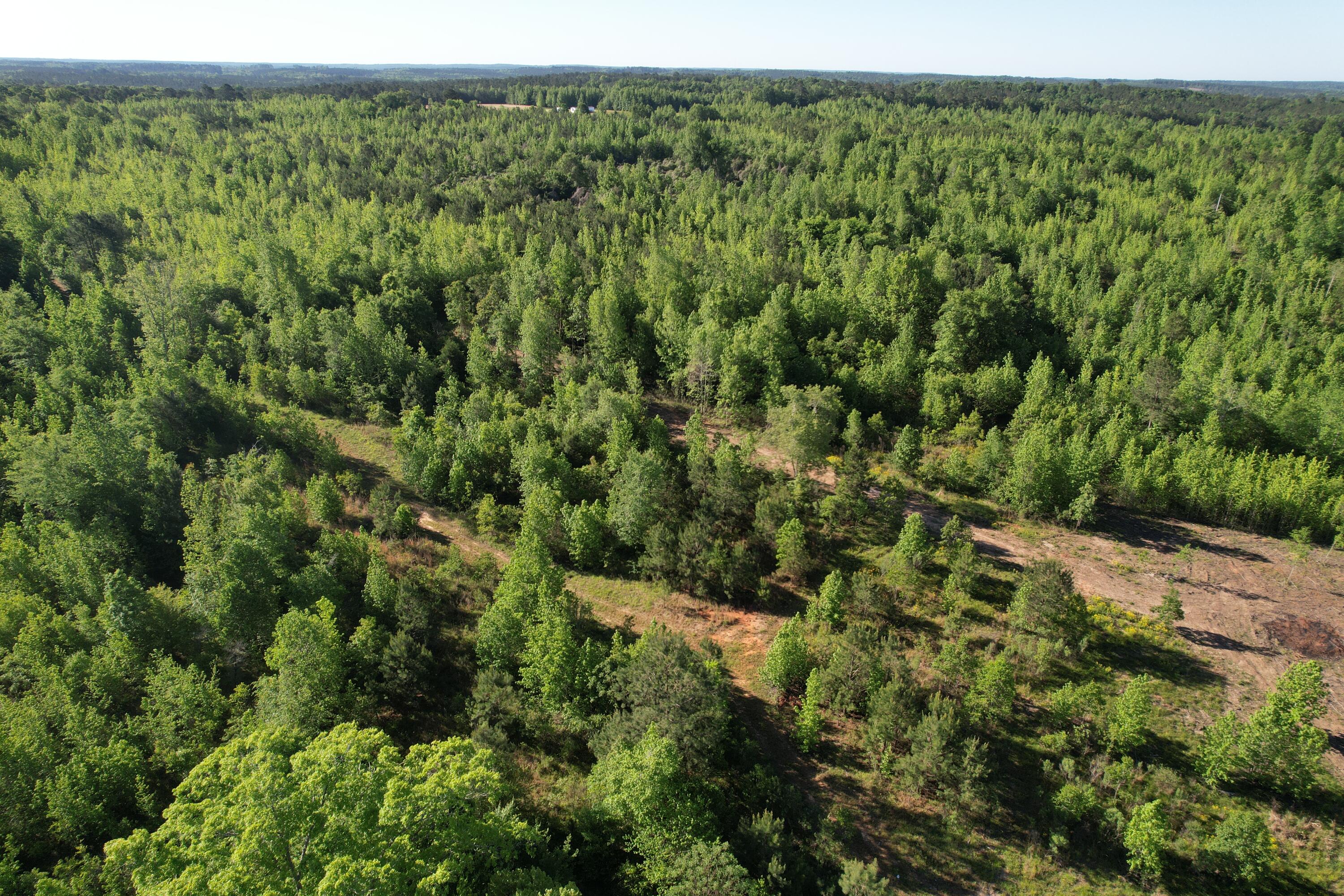 183 Hunters Run Edgefield, SC 29824 - Photo 5 of 13 DJI_0331