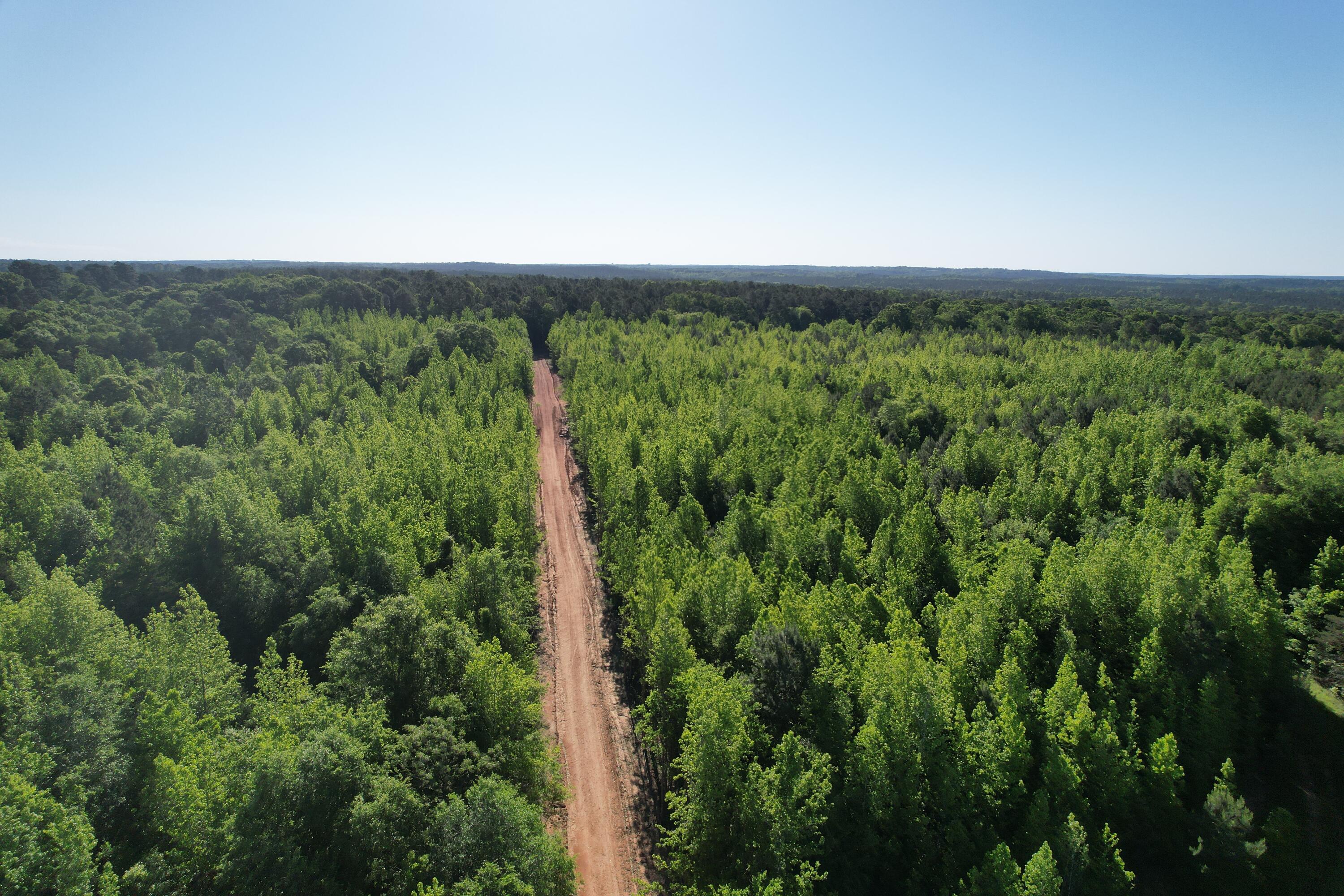 183 Hunters Run Edgefield, SC 29824 - Photo 6 of 13 DJI_0334