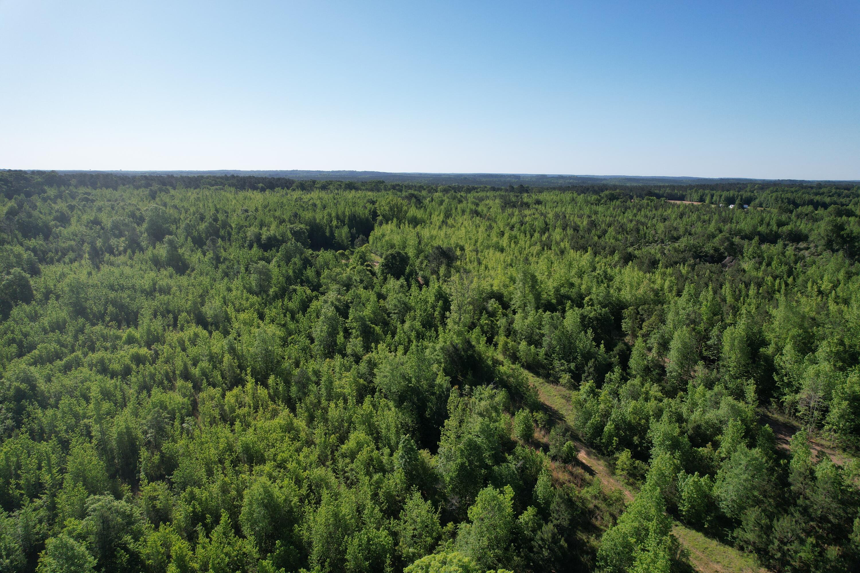 183 Hunters Run Edgefield, SC 29824 - Photo 8 of 13 DJI_0332