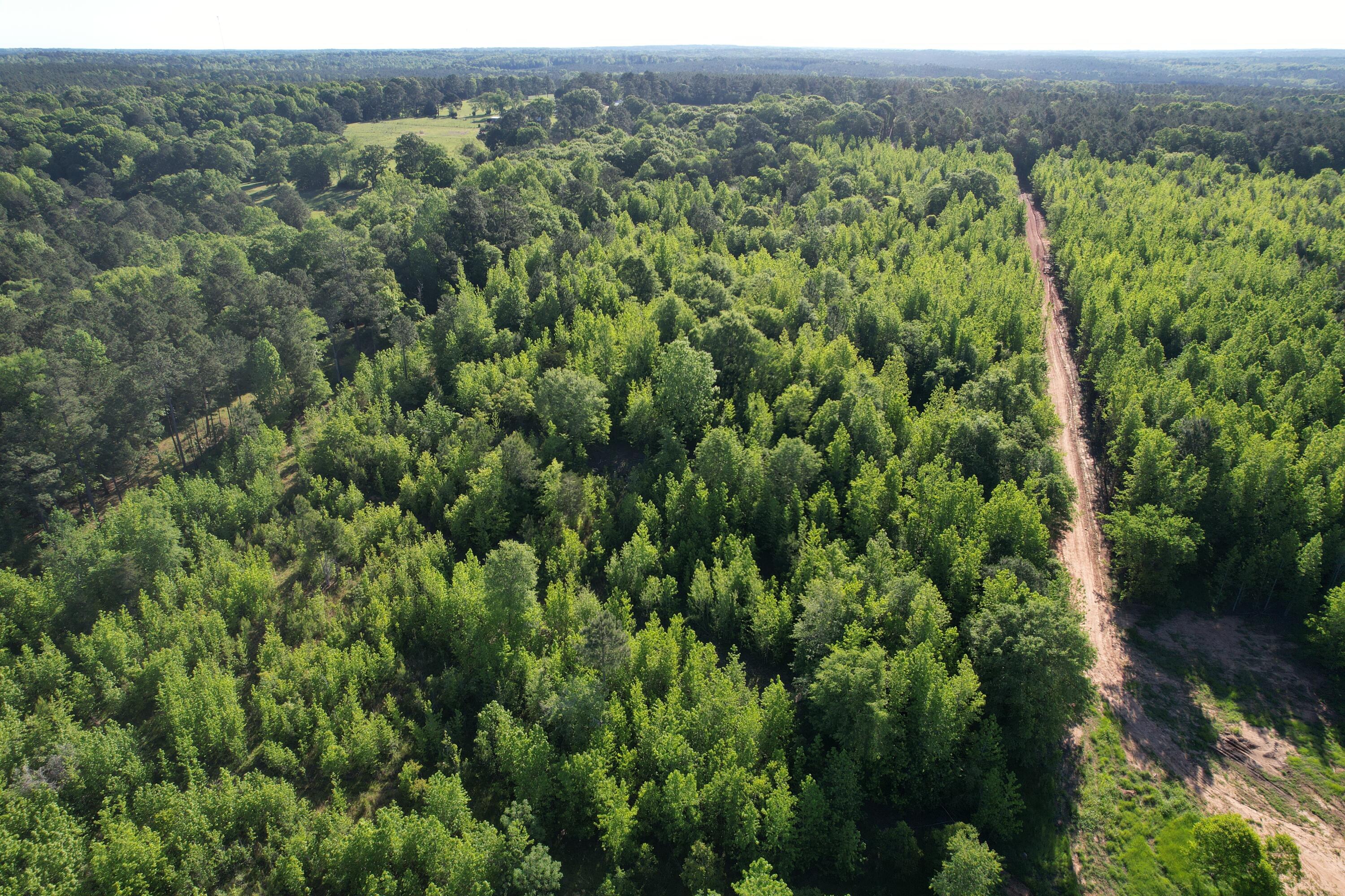 183 Hunters Run Edgefield, SC 29824 - Photo 9 of 13 DJI_0327