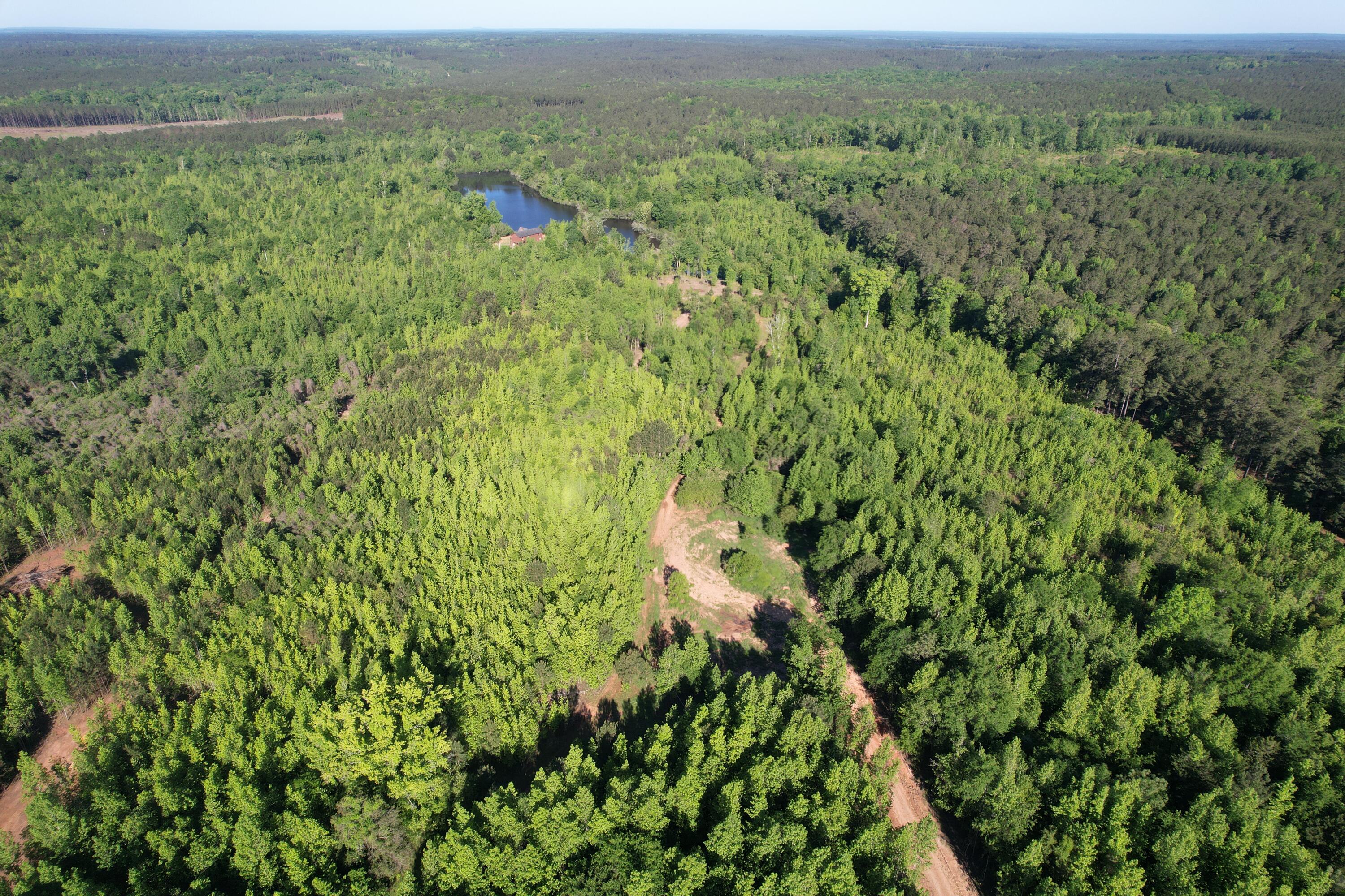183 Hunters Run Edgefield, SC 29824 - Photo 10 of 13 DJI_0329