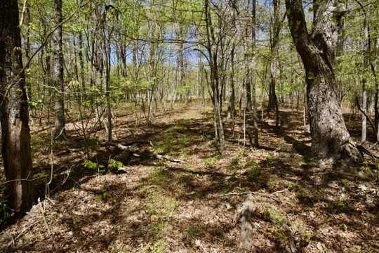 1 Whiteoak Swamps Road Dunlap, TN 37327 - Photo 20 of 48 Gallery Image 20