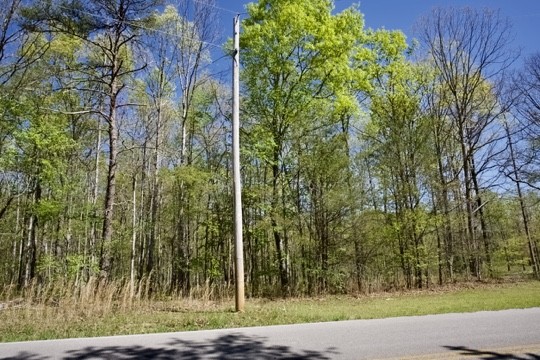 1 Whiteoak Swamps Road Dunlap, TN 37327 - Photo 24 of 48 Gallery Image 24