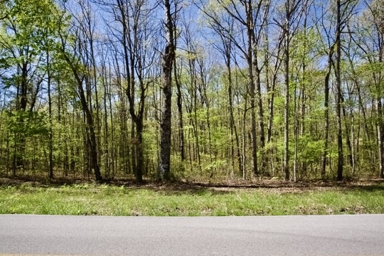 1 Whiteoak Swamps Road Dunlap, TN 37327 - Photo 33 of 48 Gallery Image 33