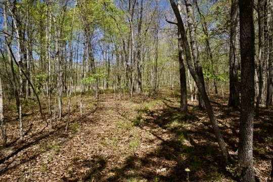 1 Whiteoak Swamps Road Dunlap, TN 37327 - Photo 44 of 48 Gallery Image 44