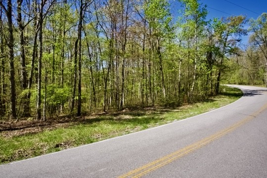 1 Whiteoak Swamps Road Dunlap, TN 37327 - Photo 48 of 48 Gallery Image 48