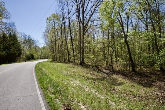 1 Whiteoak Swamps Road Dunlap, TN 37327 - Photo 5 of 48 Gallery Image 5