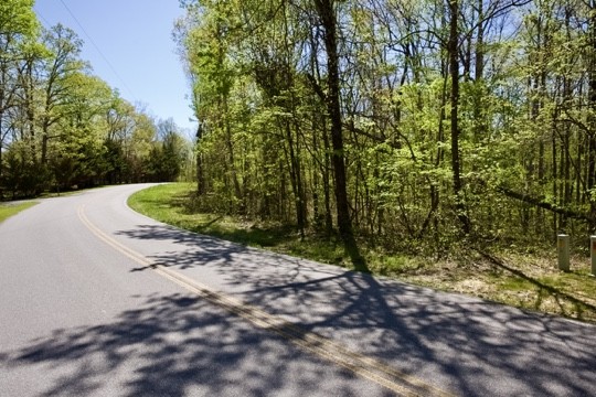 1 Whiteoak Swamps Road Dunlap, TN 37327 - Photo 10 of 48 Gallery Image 10