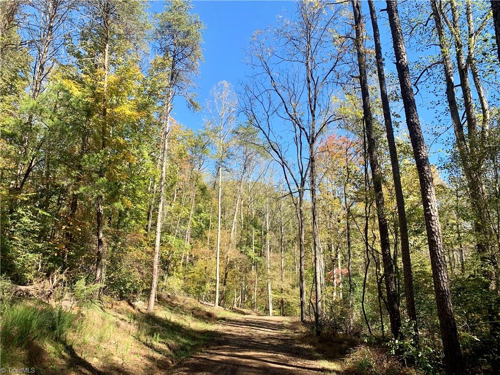 1664 Mission Road Danbury, NC 27016 - Photo 2 of 30