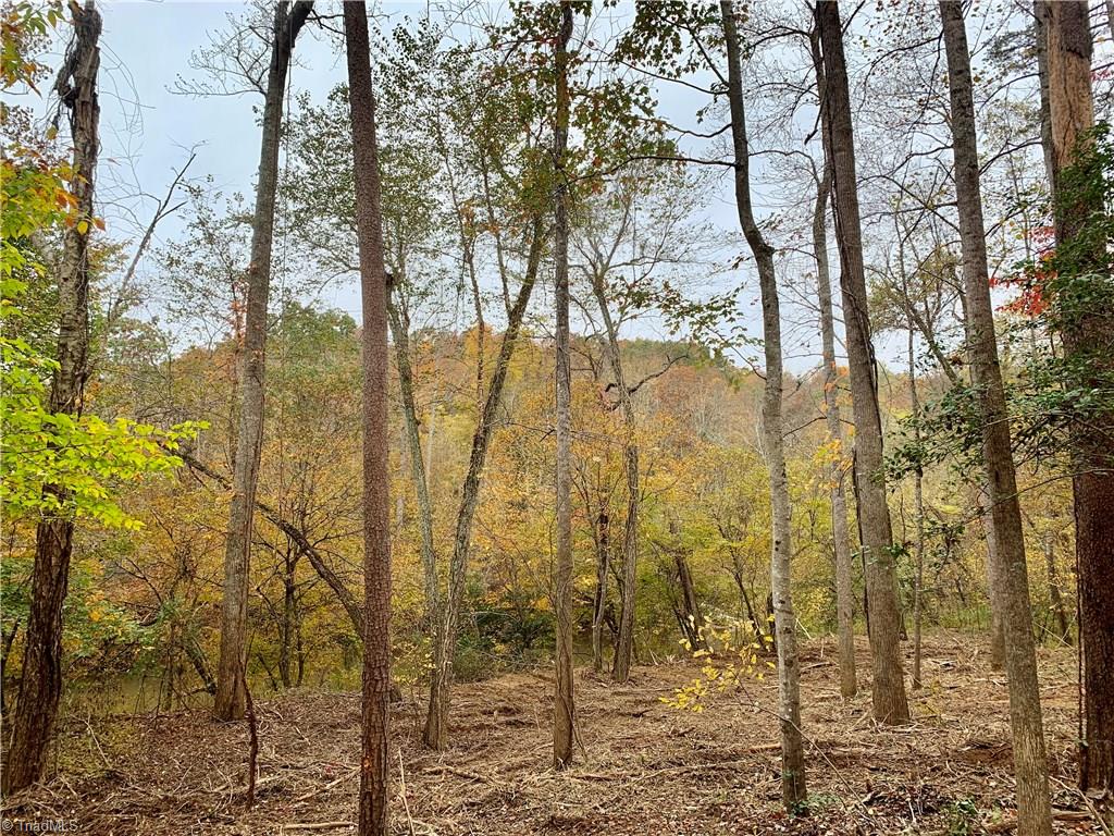 1664 Mission Road Danbury, NC 27016 - Photo 11 of 30
