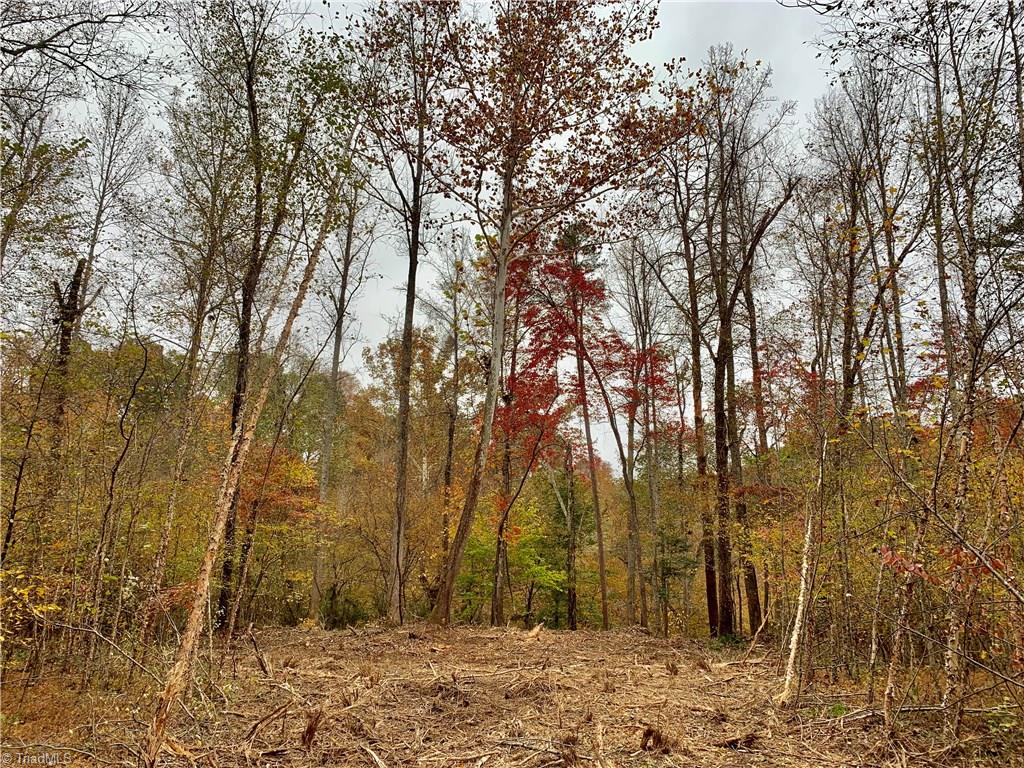 1664 Mission Road Danbury, NC 27016 - Photo 12 of 30