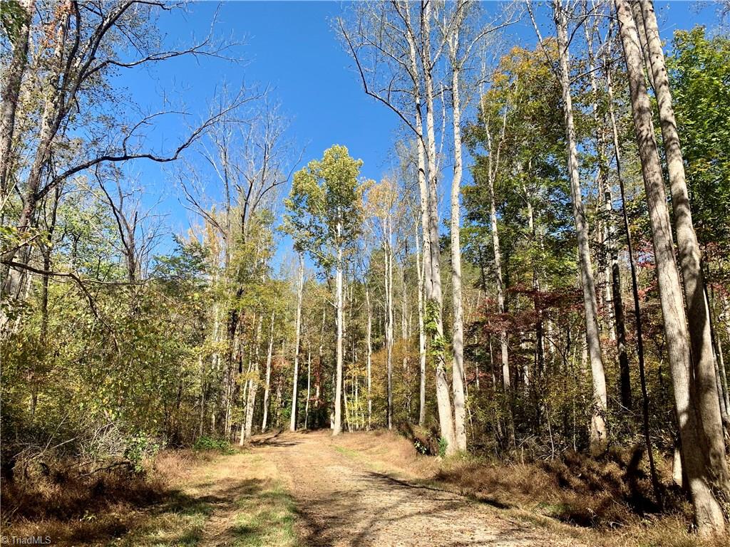 1664 Mission Road Danbury, NC 27016 - Photo 16 of 30