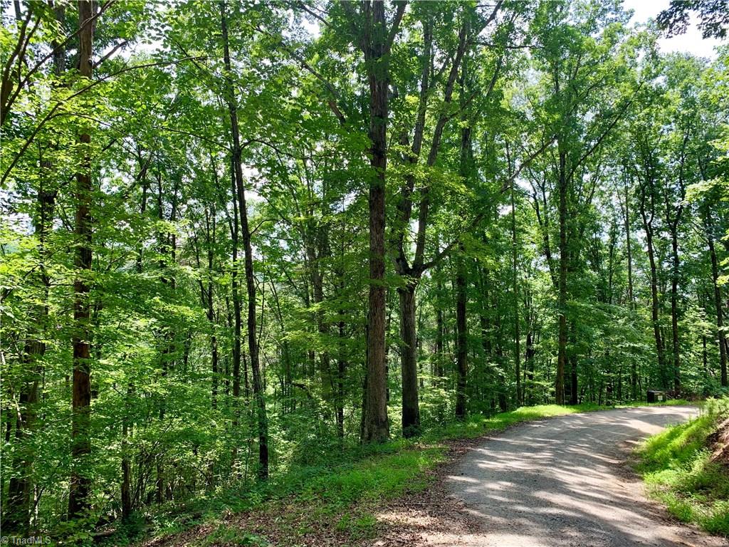 1664 Mission Road Danbury, NC 27016 - Photo 29 of 30