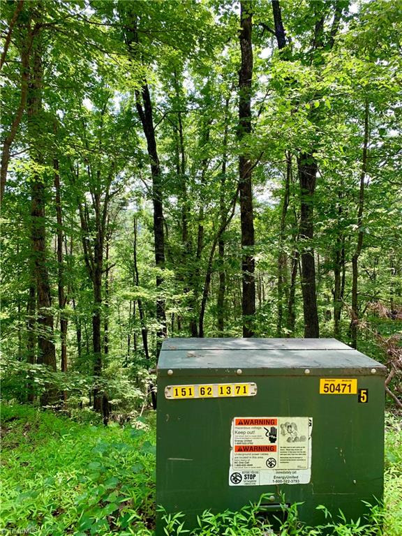 1664 Mission Road Danbury, NC 27016 - Photo 30 of 30