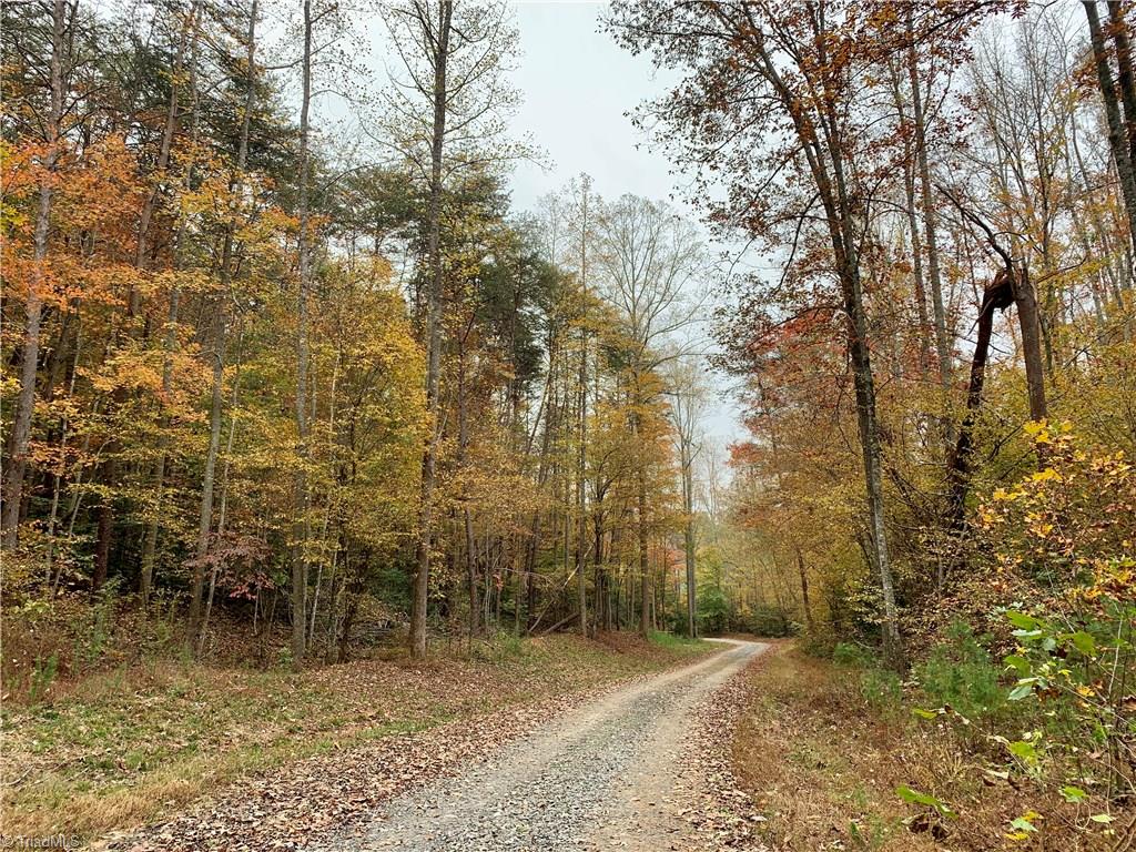 1664 Mission Road Danbury, NC 27016 - Photo 5 of 30