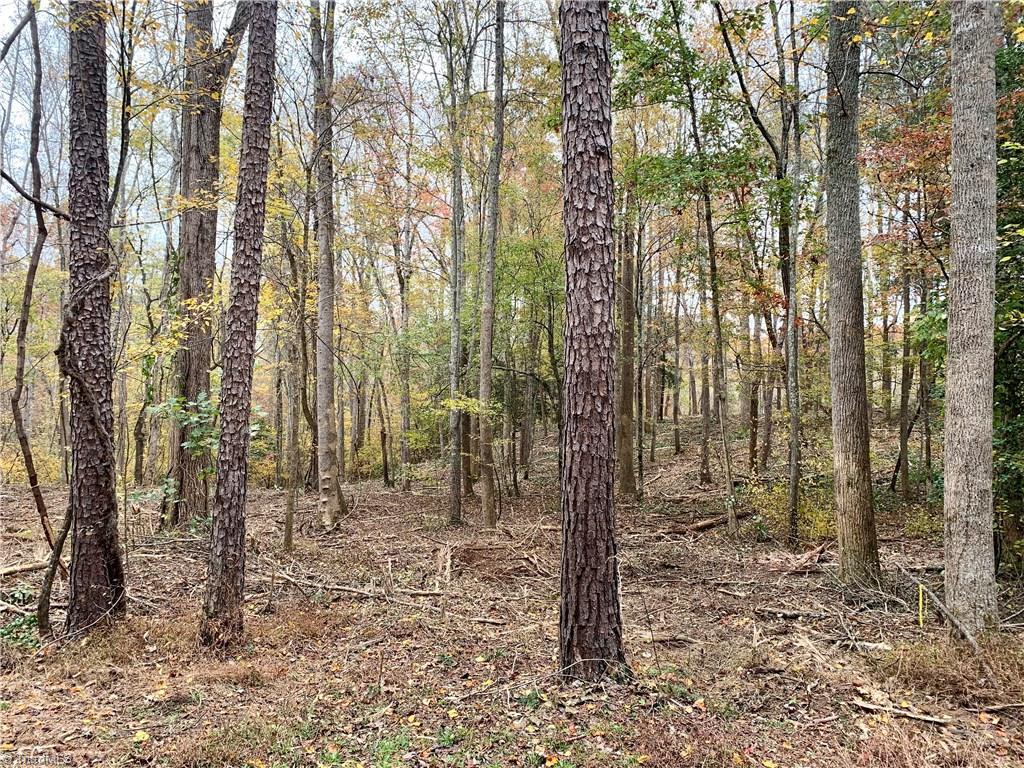 1664 Mission Road Danbury, NC 27016 - Photo 6 of 30