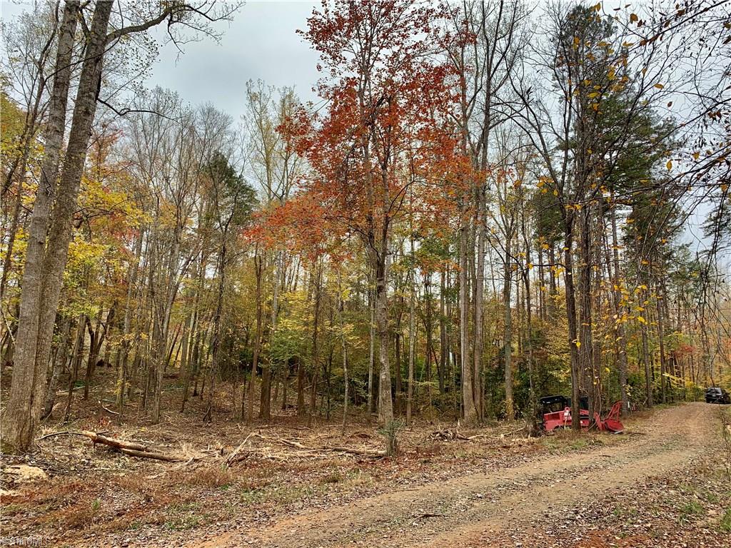1664 Mission Road Danbury, NC 27016 - Photo 8 of 30