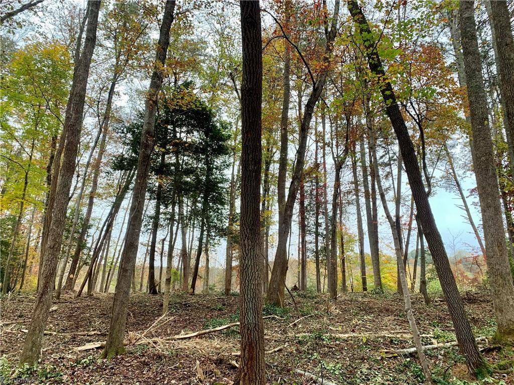1664 Mission Road Danbury, NC 27016 - Photo 9 of 30