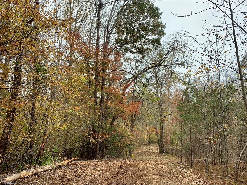 1664 Mission Road Danbury, NC 27016 - Photo 10 of 30