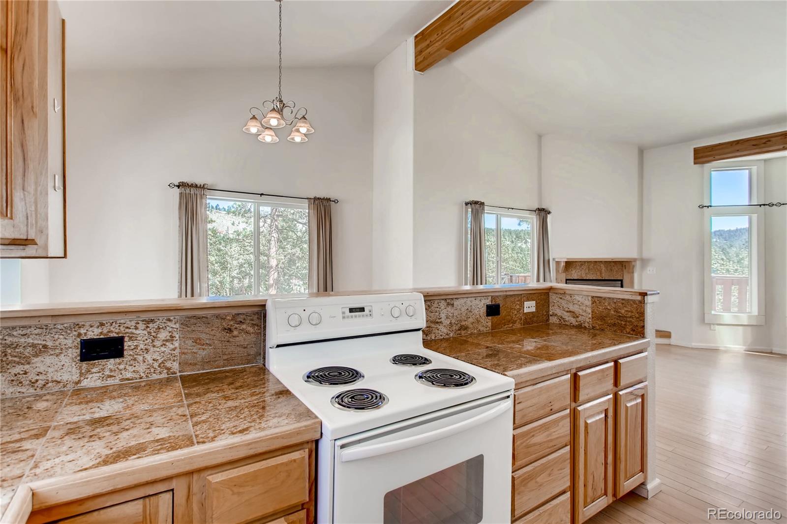 15549 Ouray Road Pine, CO 80470 - Photo 9 of 28 Gallery Image 9