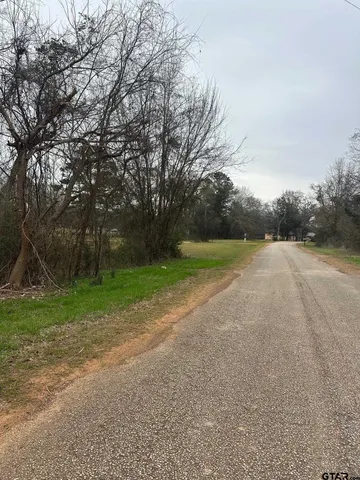 a view of a field with trees
