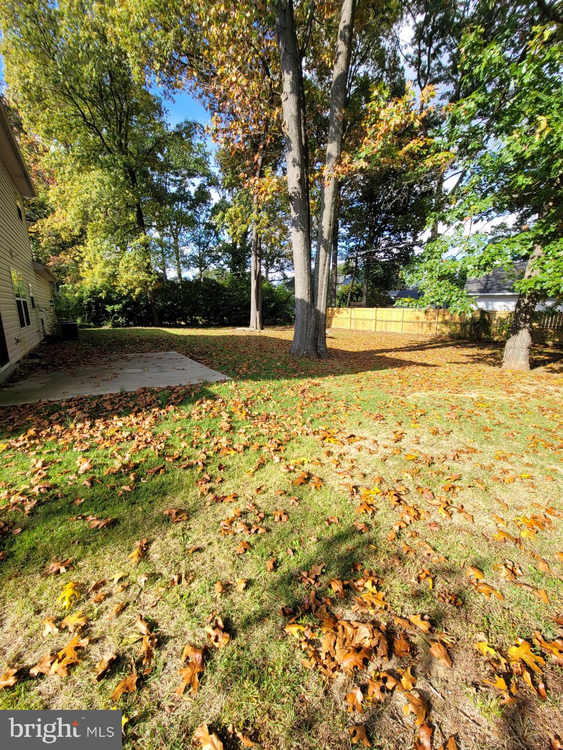 141 Jefferson Road Waldorf, MD 20602 - Photo 36 of 37 a view of yard with tree