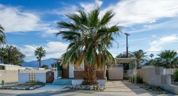 a view of outdoor space with palm trees