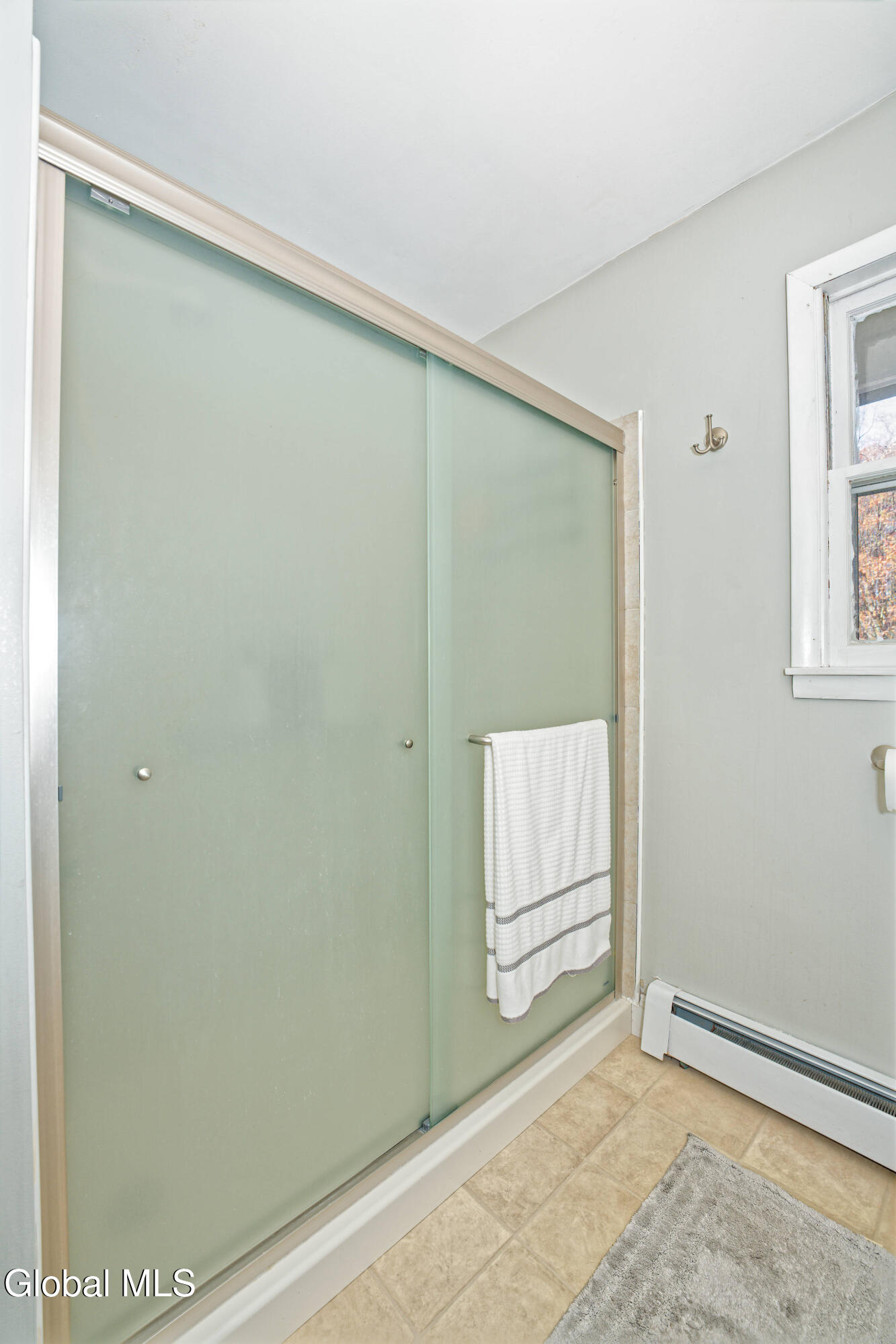 17 Midland Road North Greenbush, NY 12180 - Photo 13 of 20 IMG_0332