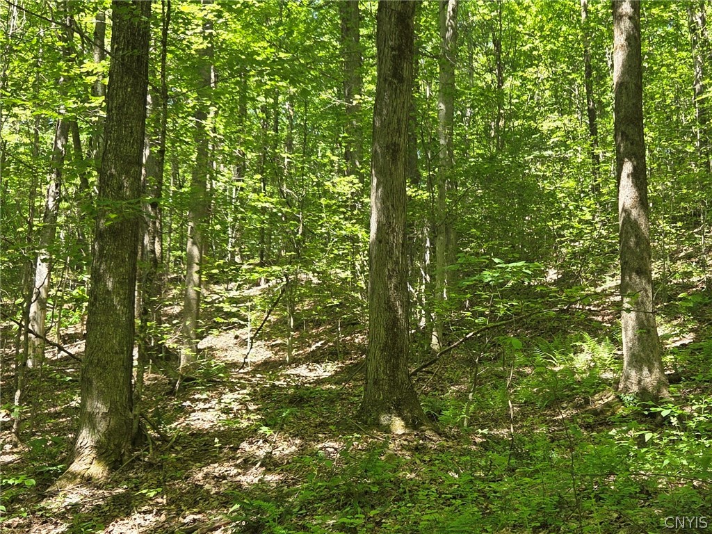 446 Nys Route Cuba, NY 14727 - Photo 19 of 47