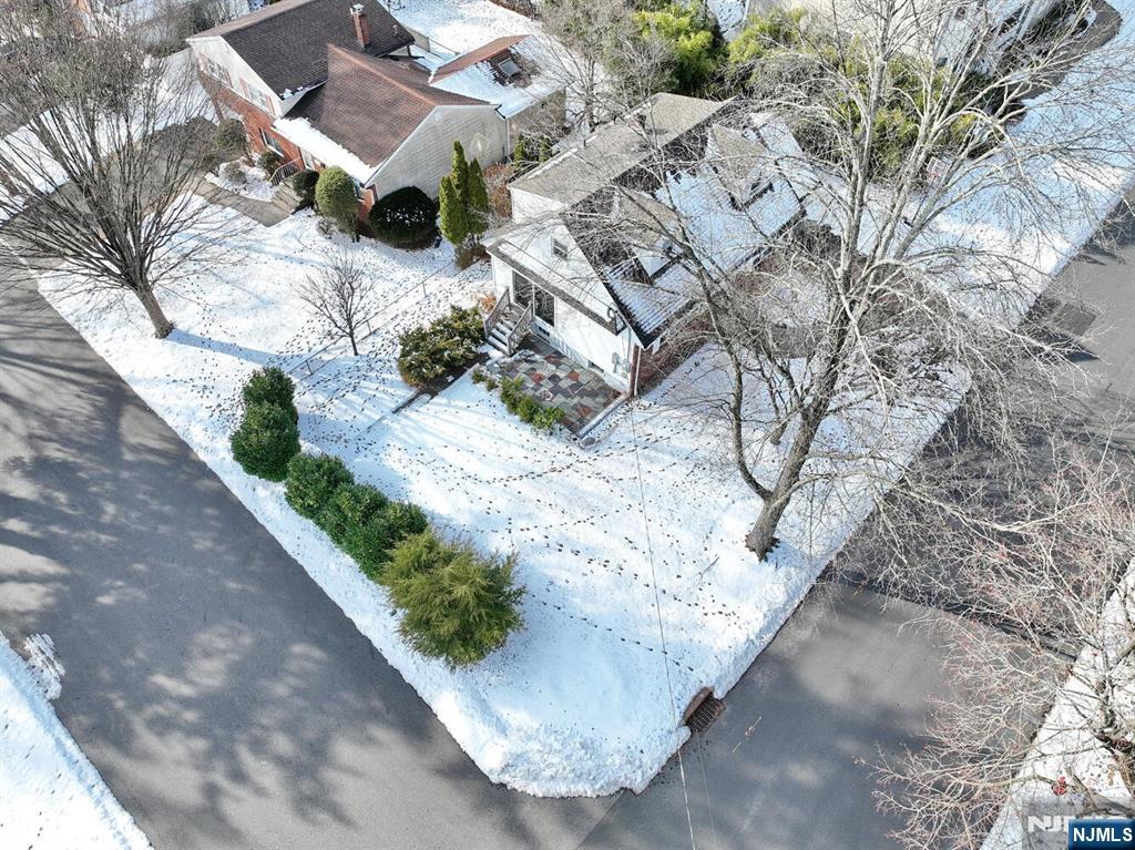 31 Madison Avenue Demarest, NJ 07627 - Photo 48 of 50 a view of a tree with yard