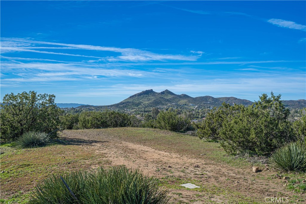 10540 Darling Road Agua Dulce, CA 91390 - Photo 51 of 56