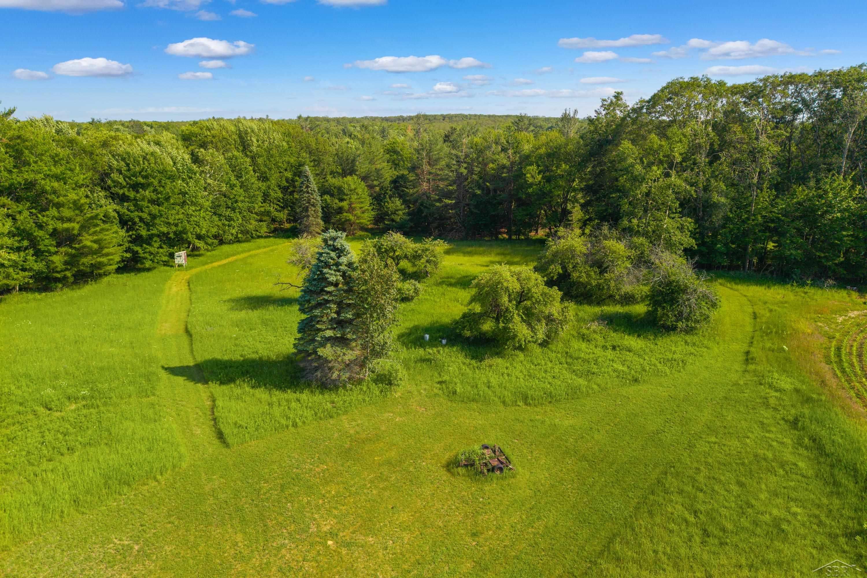4248 Procunier Road Mikado, MI 48745 - Photo 79 of 85