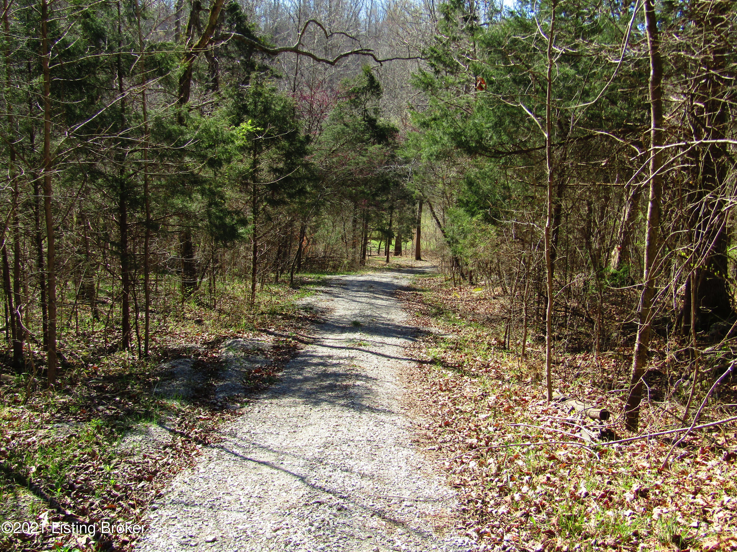429 J M Mercer Campsite Road Hudson, KY 40145 - Photo 25 of 27 IMG_0149