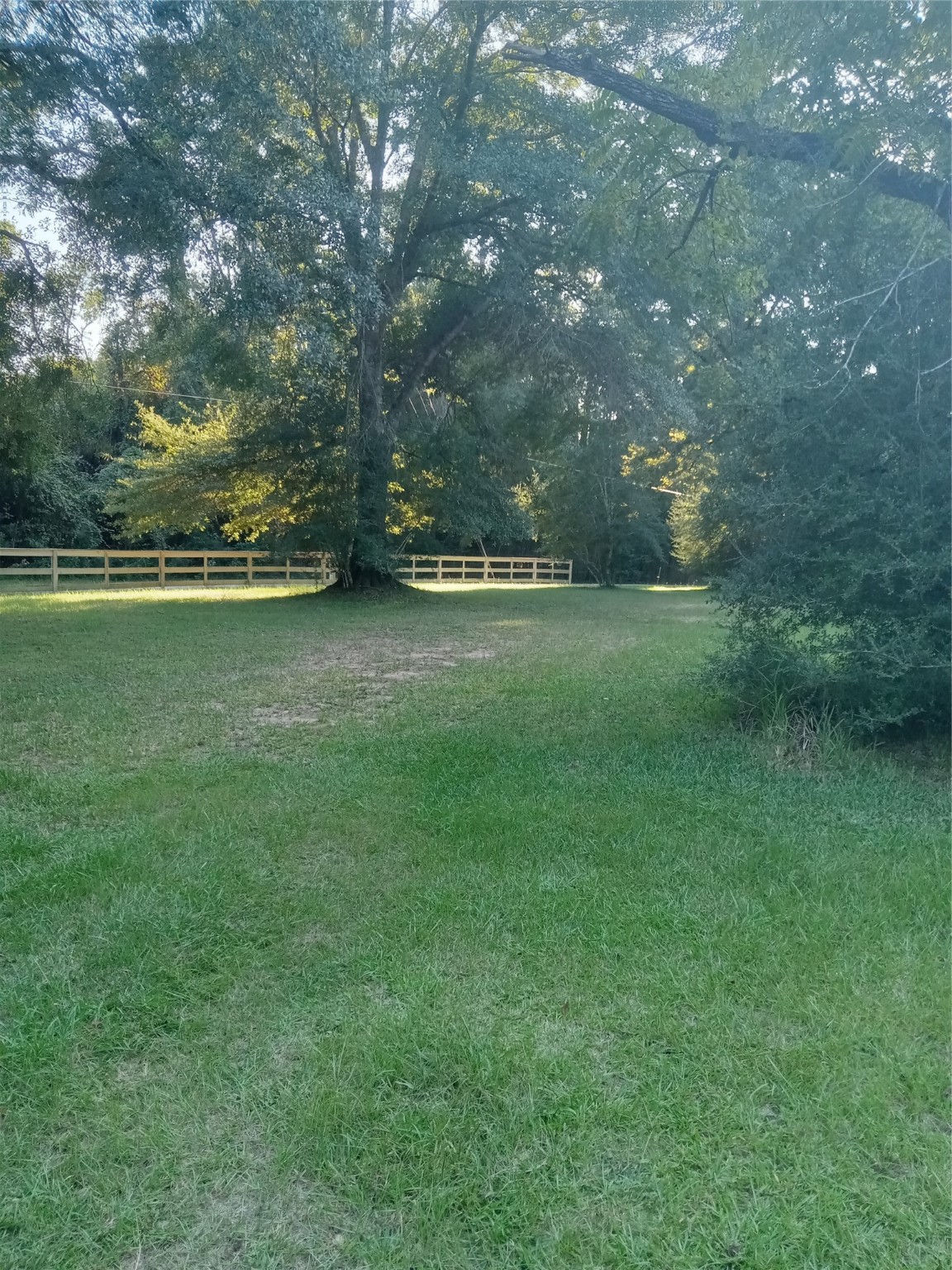 15910 Hartman Road Magnolia, TX 77355 - Photo 2 of 25 a view of a green yard