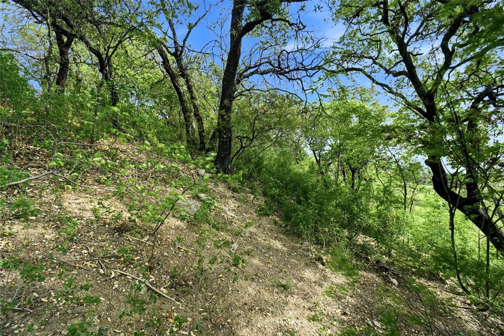 1024 Tex Lane Springtown, TX 76082 - Photo 33 of 40 a view of a garden